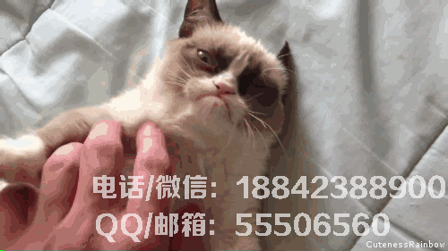 1540801503379398.png